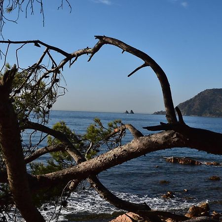 T2 Climatise A 500M De La Plage Sur La Presqu'Ile De Saint Mandrier Sur Mer Dış mekan fotoğraf