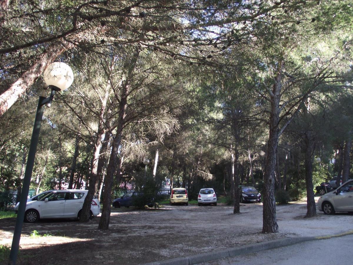 T2 Climatise A 500M De La Plage Sur La Presqu'Ile De Saint Mandrier Sur Mer Dış mekan fotoğraf